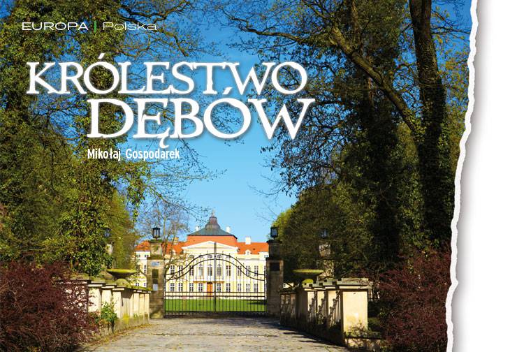 Losowy darmowy artykuł